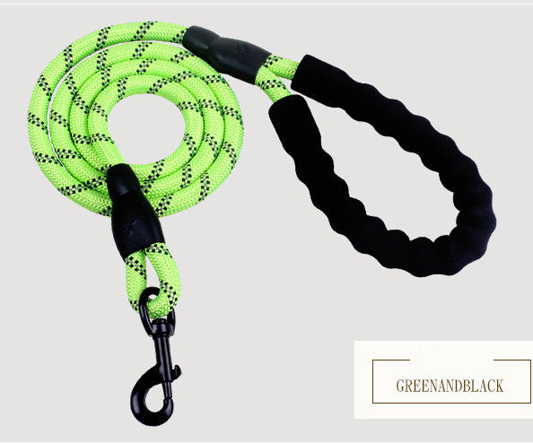 Reflective Nylon Dog Leash with Foam Handle for Training & Walking