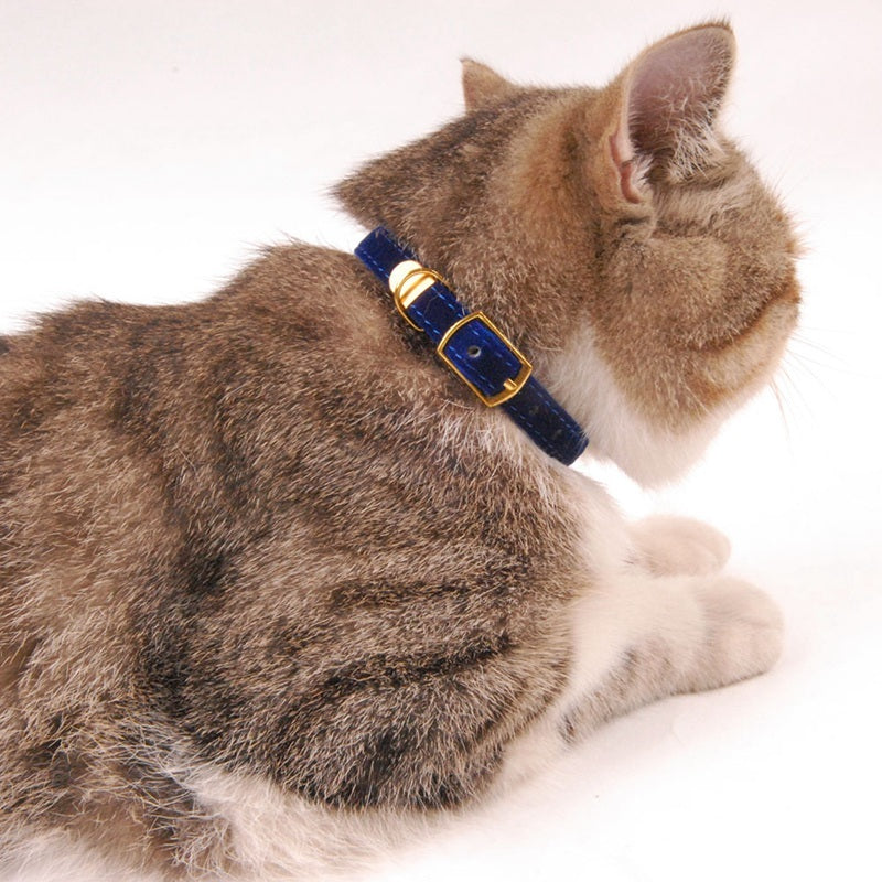 Velvet Cat Collar with Gold Buckle – Elegant & Comfy