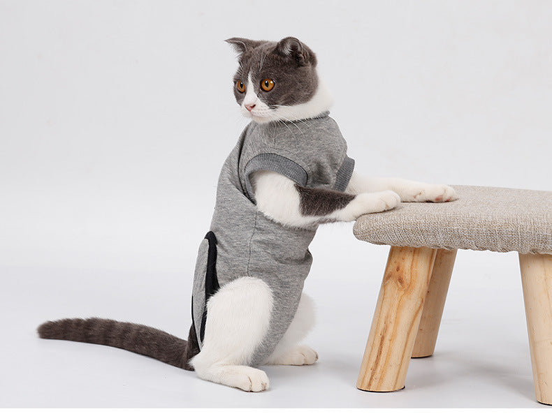 Cat Recovery Suit – Post-Surgery Protective Clothing for Cats