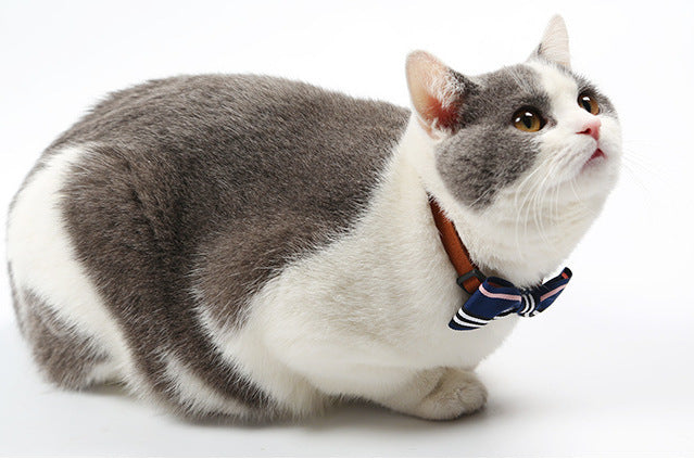 Cute Pet Bow Tie Collar with Bell – Adjustable & Stylish