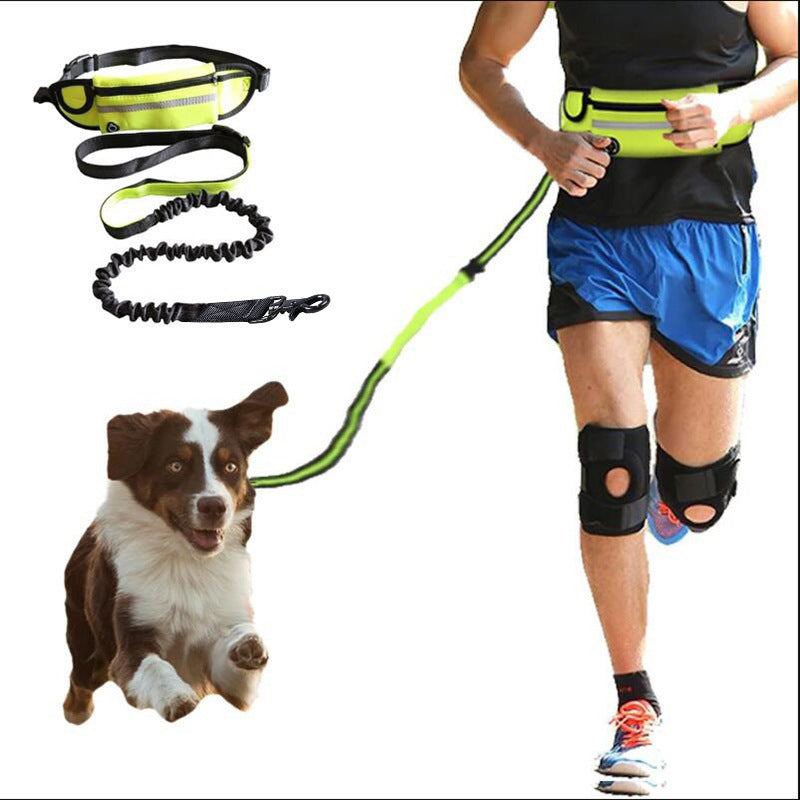 Hands-Free Dog Leash Belt with Phone & Bottle Holder