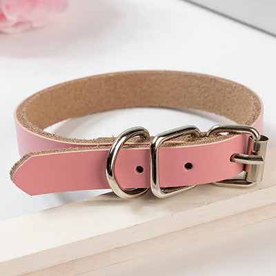 PU Leather Dog Collar – Durable, Stylish & Adjustable