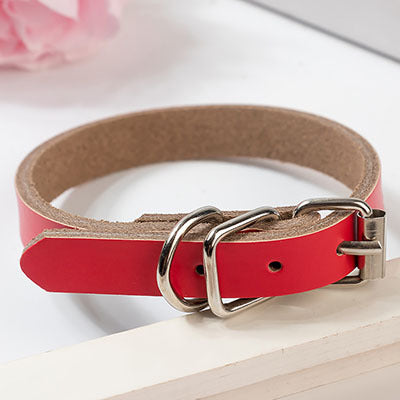 PU Leather Dog Collar – Durable, Stylish & Adjustable