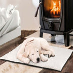 Self-Heating Pet Blanket – Warmth Without Electricity
