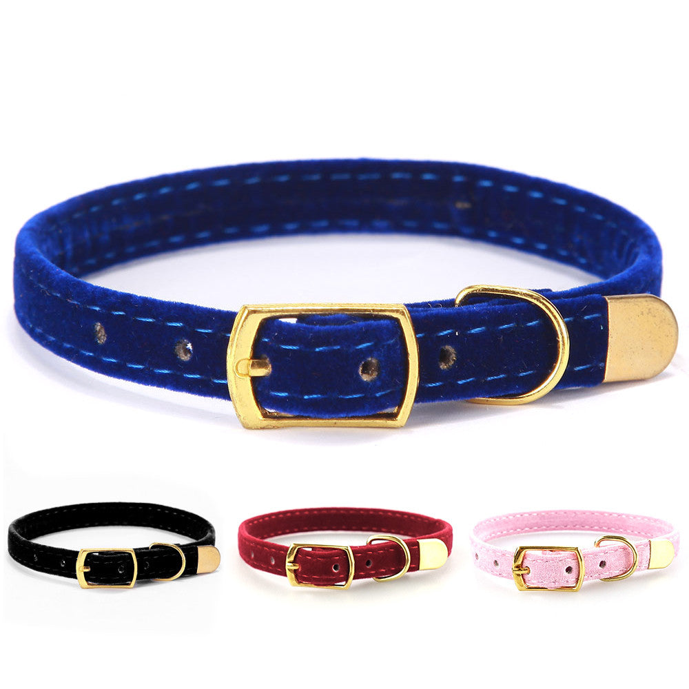 Velvet Cat Collar with Gold Buckle – Elegant &amp; Comfy