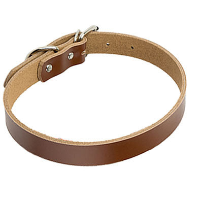 PU Leather Dog Collar – Durable, Stylish & Adjustable
