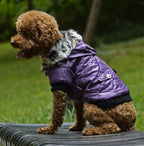 Autumn & Winter Dog Coat – Warm Hooded Jacket with Fur Collar
