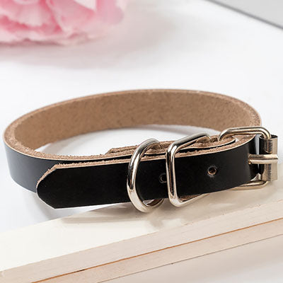 PU Leather Dog Collar – Durable, Stylish & Adjustable