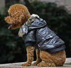Autumn & Winter Dog Coat – Warm Hooded Jacket with Fur Collar
