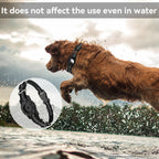 Anti-Lost Nylon Dog Collar – Secure & Stylish