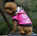 Autumn & Winter Dog Coat – Warm Hooded Jacket with Fur Collar