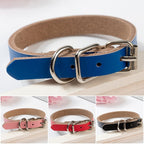 PU Leather Dog Collar – Durable, Stylish & Adjustable