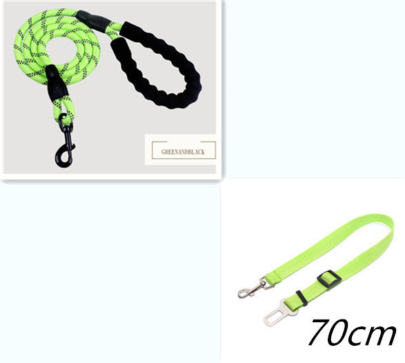 Reflective Nylon Dog Leash with Foam Handle for Training & Walking