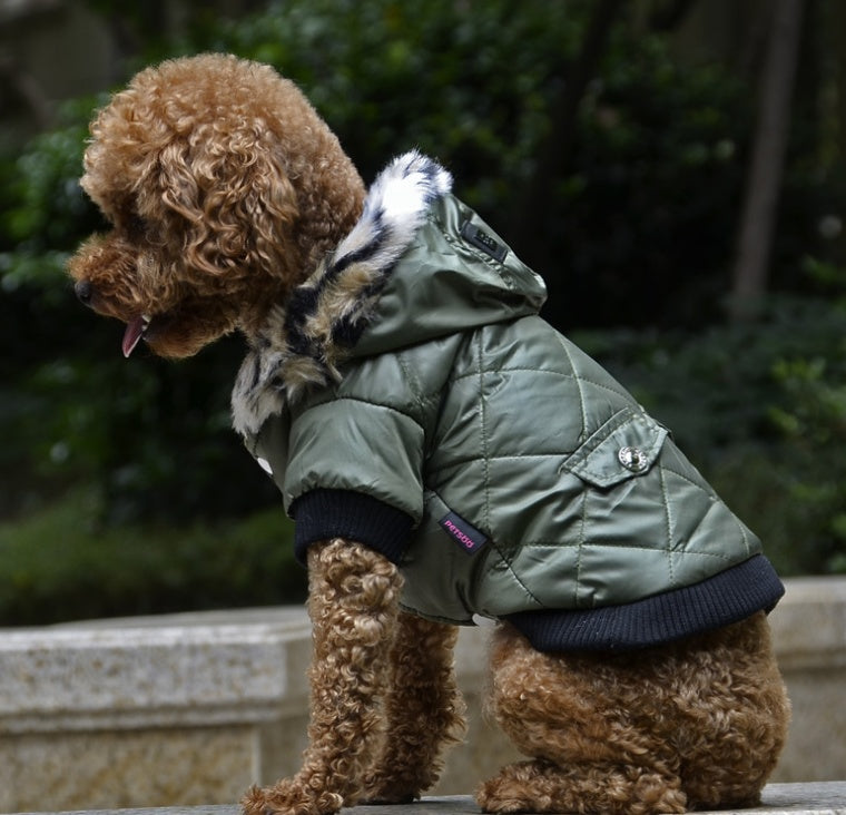 Autumn & Winter Dog Coat – Warm Hooded Jacket with Fur Collar