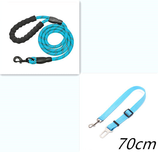 Reflective Nylon Dog Leash with Foam Handle for Training & Walking