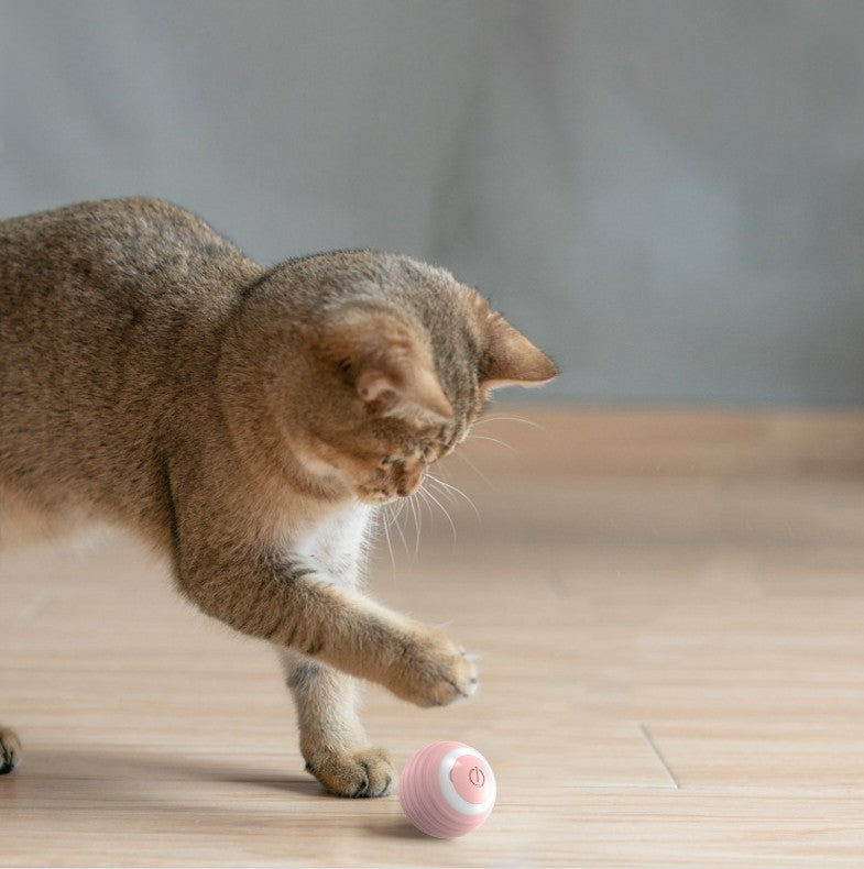 Smart Bouncing Ball Cat Toy — Automatic Rolling Fun for Kittens!