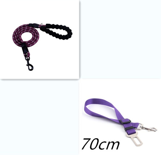 Reflective Nylon Dog Leash with Foam Handle for Training & Walking