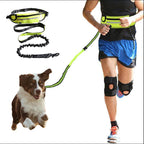 Hands-Free Dog Leash Belt with Phone & Bottle Holder