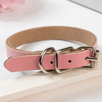 PU Leather Dog Collar – Durable, Stylish & Adjustable