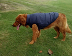 Waterproof Dog Coat – Warm Outdoor Jacket for Autumn & Winter