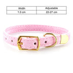 Velvet Cat Collar with Gold Buckle – Elegant &amp; Comfy