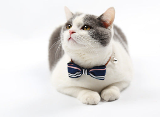 Cute Pet Bow Tie Collar with Bell – Adjustable & Stylish
