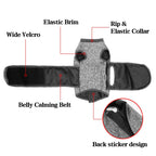 Dark Gray Pet Sterilization Recovery Suit