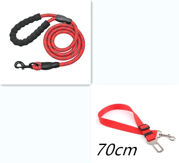 Reflective Nylon Dog Leash with Foam Handle for Training & Walking