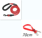 Reflective Nylon Dog Leash with Foam Handle for Training & Walking