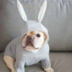 Small Dog Knitted Sweater with Cute Rabbit Ears